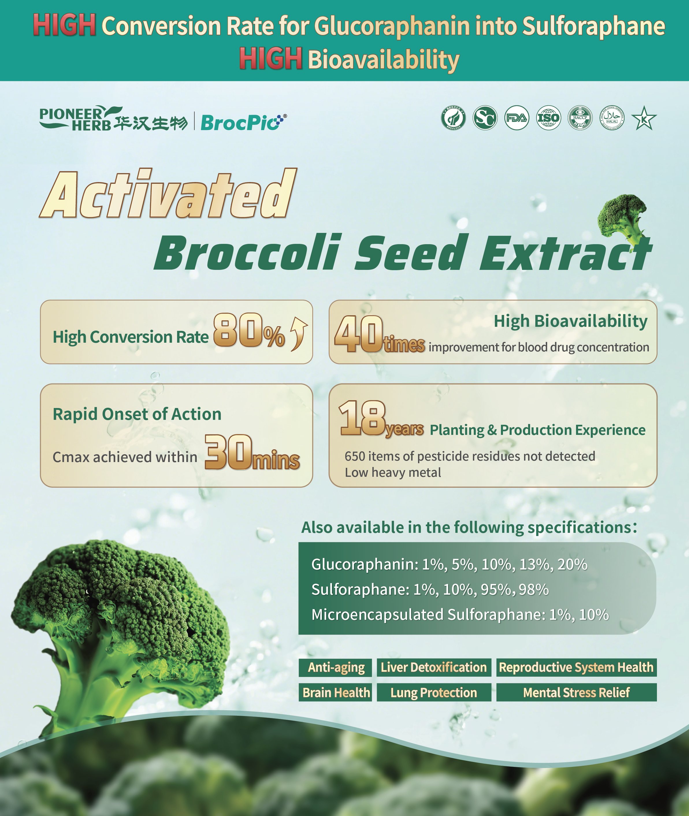 Activated Broccoli Seed Extract - 新.jpg Activated Broccoli Seed Extract - 新.jpg