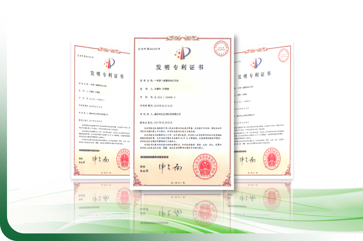 intellectual_property_02