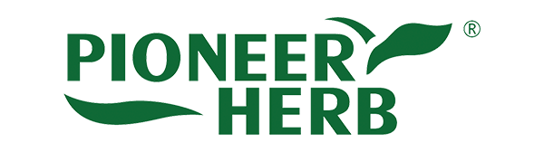 logo_01