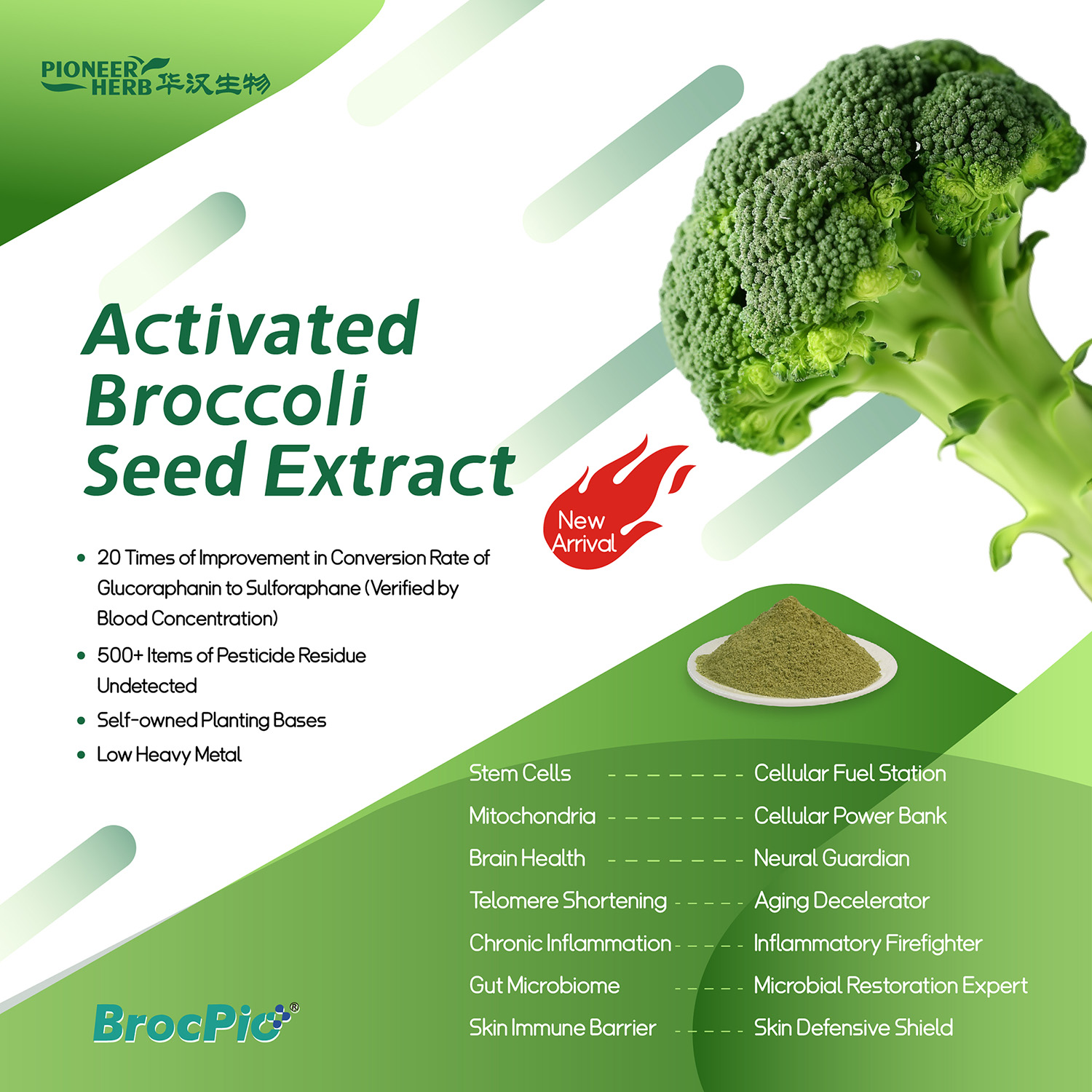 英文版电子海报_画板 1 副本 2(1).jpg