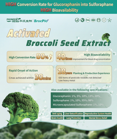 Activated Broccoli Seed Extract - 新.jpg.png